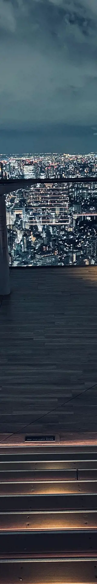 Tokio aus der Vogelperspektive